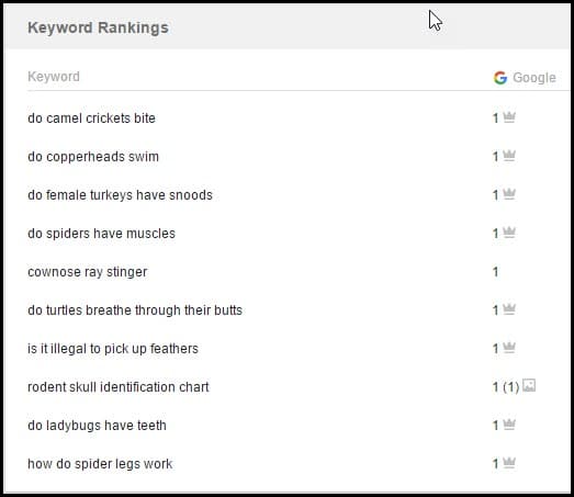 keyword ranking information